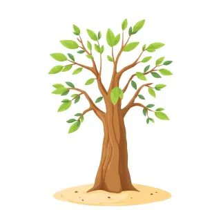 رسم توضيحي لكلمة tree