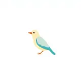 رسم توضيحي لكلمة bird