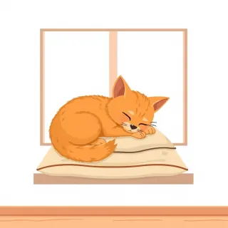 رسم توضيحي لكلمة cat