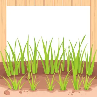 رسم توضيحي لكلمة grass