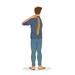 رسم توضيحي لكلمة back