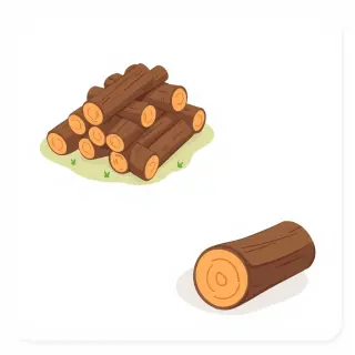 رسم توضيحي لكلمة wood