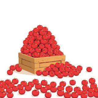 رسم توضيحي لكلمة plenty