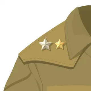 رسم توضيحي لكلمة insignia