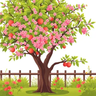 رسم توضيحي لكلمة blossom