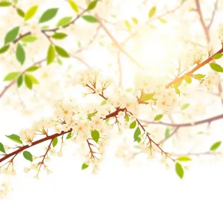 رسم توضيحي لكلمة blossom