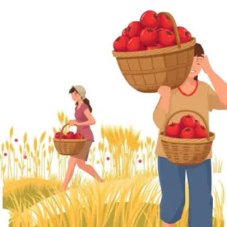 رسم توضيحي لكلمة harvest