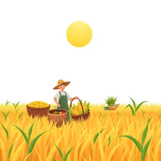 رسم توضيحي لكلمة harvest