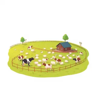 رسم توضيحي لكلمة ranch
