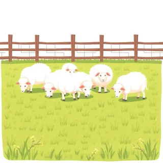 رسم توضيحي لكلمة sheep