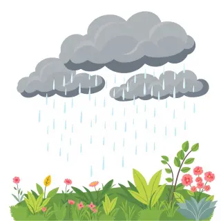 رسم توضيحي لكلمة water