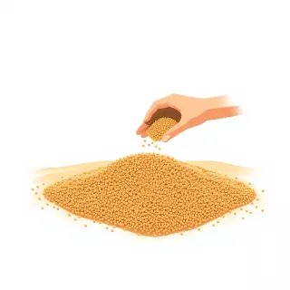 رسم توضيحي لكلمة sand