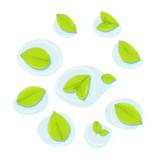 رسم توضيحي لكلمة surface