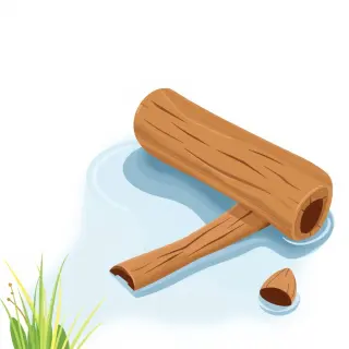 رسم توضيحي لكلمة float