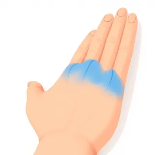 رسم توضيحي لكلمة vein