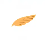 رسم توضيحي لكلمة wing