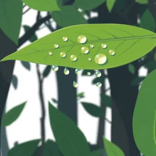 رسم توضيحي لكلمة moisture