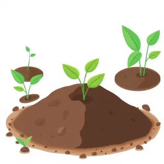 رسم توضيحي لكلمة soil