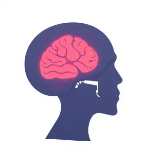 رسم توضيحي لكلمة brain