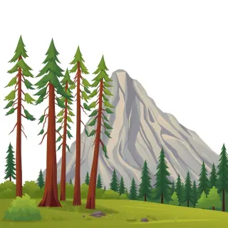 رسم توضيحي لكلمة resource