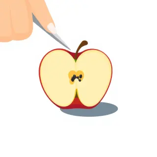 رسم توضيحي لكلمة core