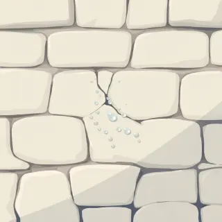 رسم توضيحي لكلمة seep