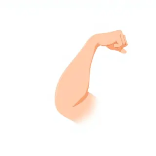 رسم توضيحي لكلمة muscle
