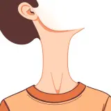 رسم توضيحي لكلمة neck