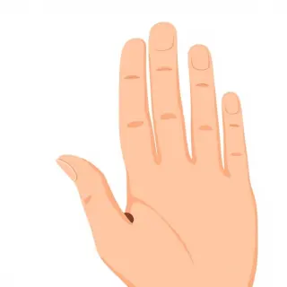 رسم توضيحي لكلمة thumb