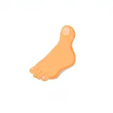 رسم توضيحي لكلمة toe
