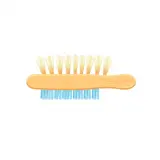 رسم توضيحي لكلمة brush