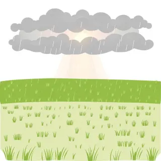 رسم توضيحي لكلمة shower